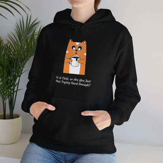 Funny Cat Coffee Quote Women’s Hoodie – “Is It Cold or Are You Just Not Trying Hard Enough?” Cozy Pullover
