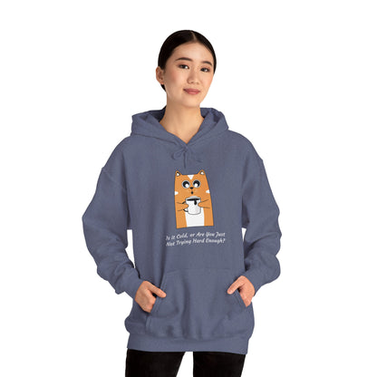 Cat Drinking Coffee Funny Quote Women's Hoodie, Is it Cold, or Are You Just Not Trying Hard Enough, Sweatshirt, Pullover, Jumper, Cozy