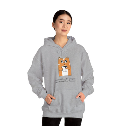 Cat Drinking Coffee Funny Quote Women's Hoodie, Is it Cold, or Are You Just Not Trying Hard Enough, Sweatshirt, Pullover, Jumper, Cozy