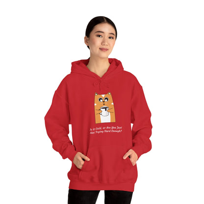 Cat Drinking Coffee Funny Quote Women's Hoodie, Is it Cold, or Are You Just Not Trying Hard Enough, Sweatshirt, Pullover, Jumper, Cozy