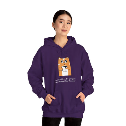 Cat Drinking Coffee Funny Quote Women's Hoodie, Is it Cold, or Are You Just Not Trying Hard Enough, Sweatshirt, Pullover, Jumper, Cozy